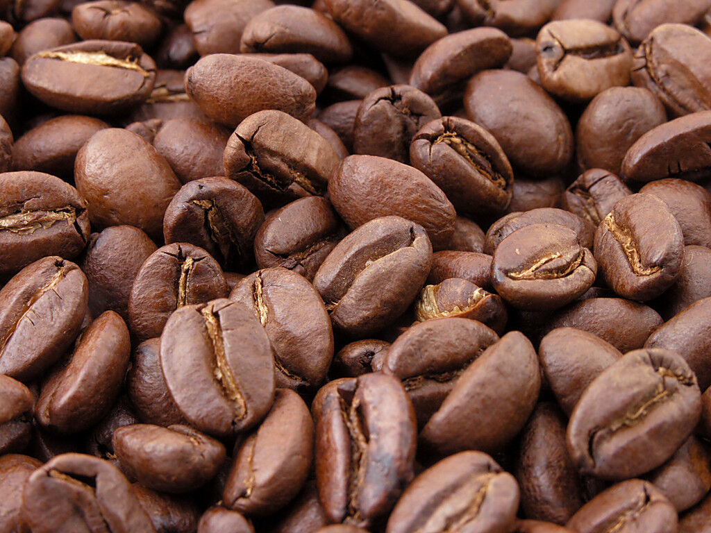 PROFESSIONAL COFFEE BEANS *MEDIUM ROAST*