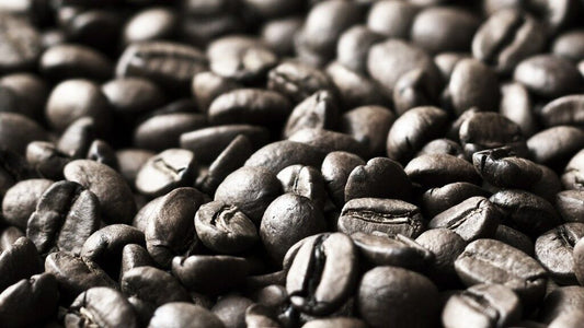 PROFESSIONAL COFFEE BEANS *ULTRA DARK ROAST*